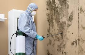 Best Mold Prevention Services  in Lapwai, ID